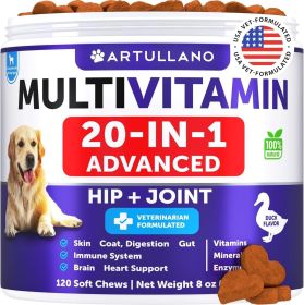 Dog Multivitamin Chewable with Glucosamine 20 in 1 Dog Vitamins and Supplements Senior & Puppy Multivitamin for Dogs Pet Joint Support Health Imm